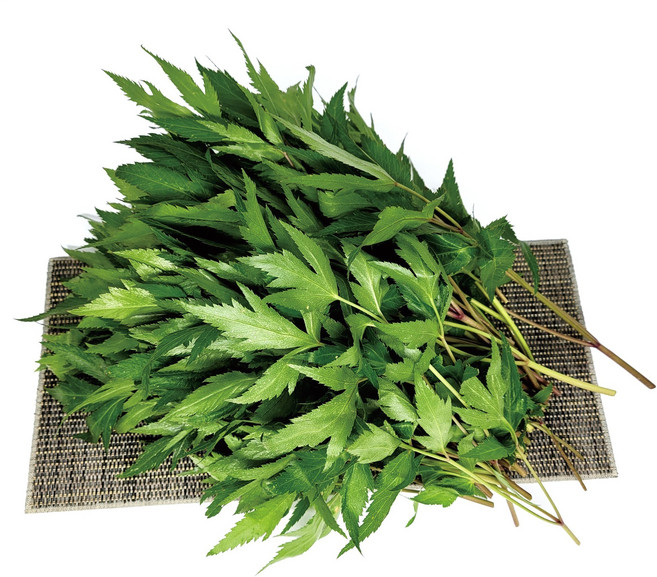 야채왕 당귀 500g 당귀잎, 1개