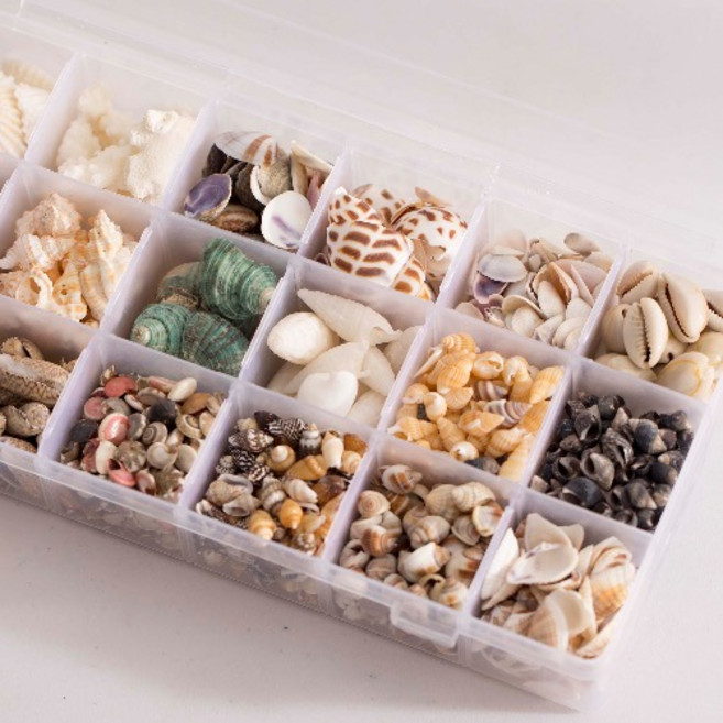 미니 조개 18종 모음 테라리움 캔들 만들기 재료 인테리어 장식 소품