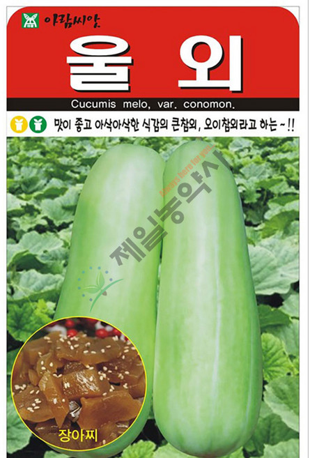 울외 20립 24년 오이참외 나나스케 장아찌용, 1개