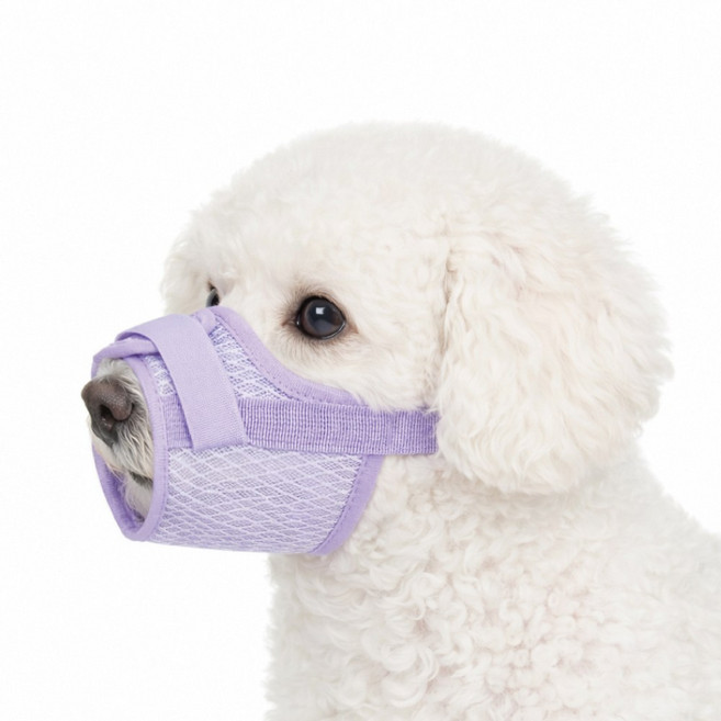 렛츠독 강아지 벨크로 경량 메쉬 입마개 산책용 훈련용 마스크 M, 메쉬퍼플, 1개