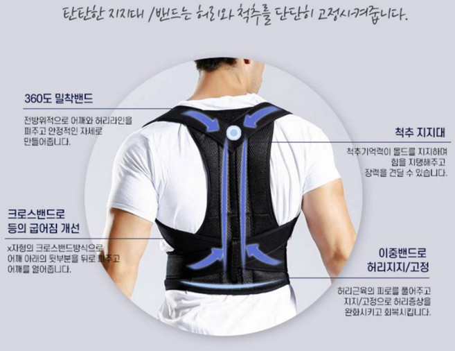 찐노마진몰 어깨 굽은등 허리 바른자세 교정 밴드 L사이즈, 1개