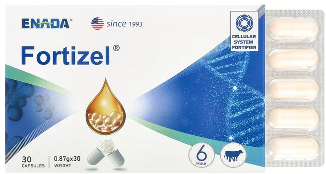 ENADA 포티젤 써포트 캡슐 30정, 1개 - 쿠팡