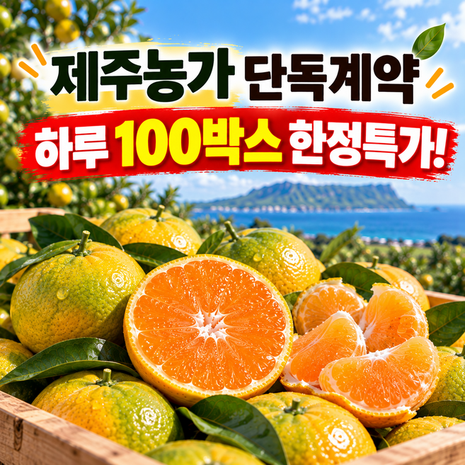 [하루 100박스 한정]제주농가 감귤 로얄과, 1박스, 5kg
