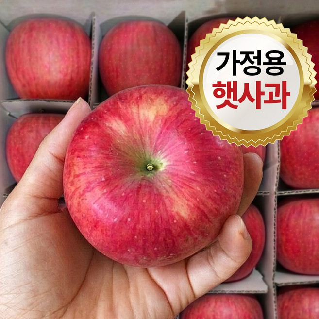 [당일출하 50박스한정] 고산지 경북농원 껍질째 먹는 고당도 가정용 부사 꿀사과, 1개, 7kg