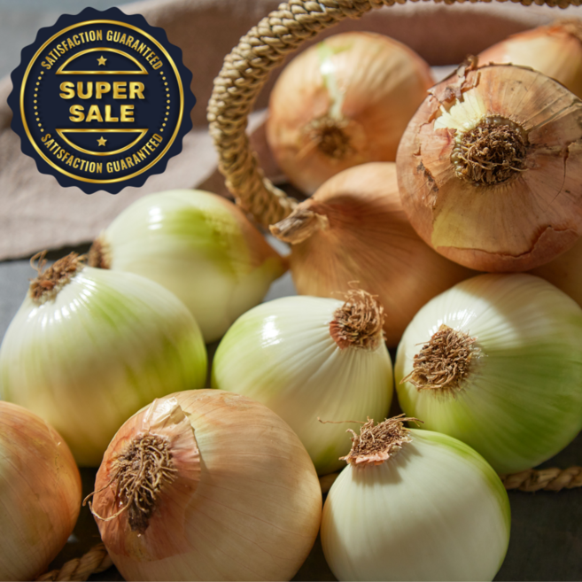 [재구매율1위]몬나니마켓 단단하고 아삭한 황토밭 무안 양파, 1박스, 소사이즈5kg