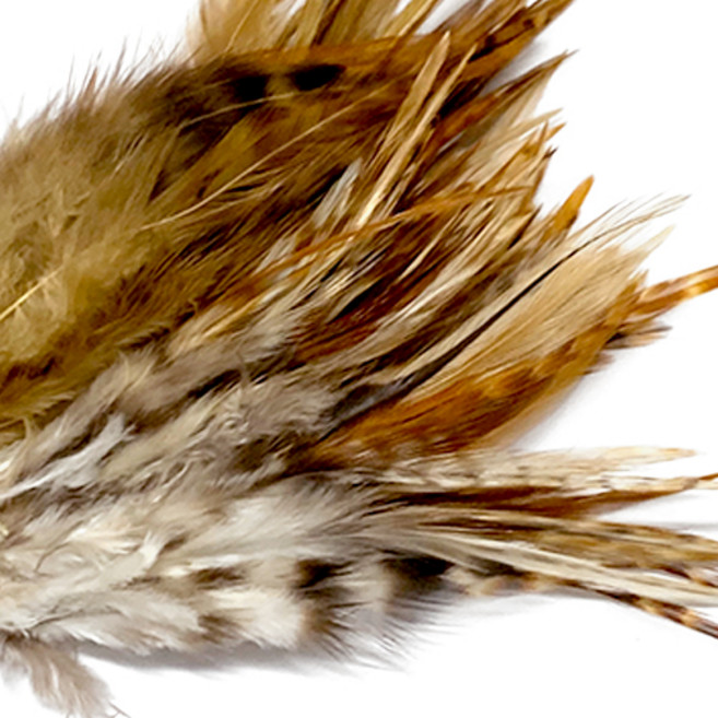 (주)아트인 브라운 무늬 깃털(20개), 20개