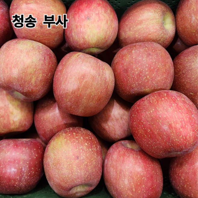고당도 청송사과 단단한 부사사과 가정용 선물용, 1박스, 5kg (중과)