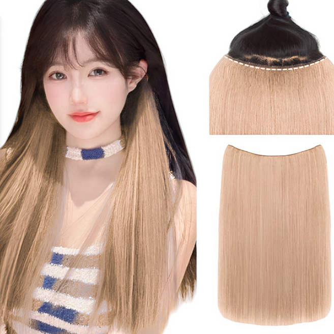 가발위드 스트레이트 긴머리 파리시안 무드 1피스 붙임머리 헤어피스, 1개, 라이트골드