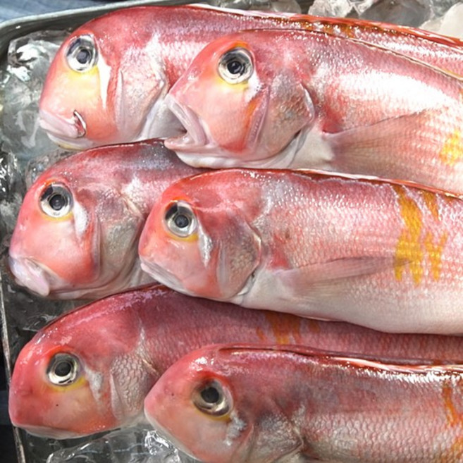 오늘제주 제주 옥돔, 5개, 200g