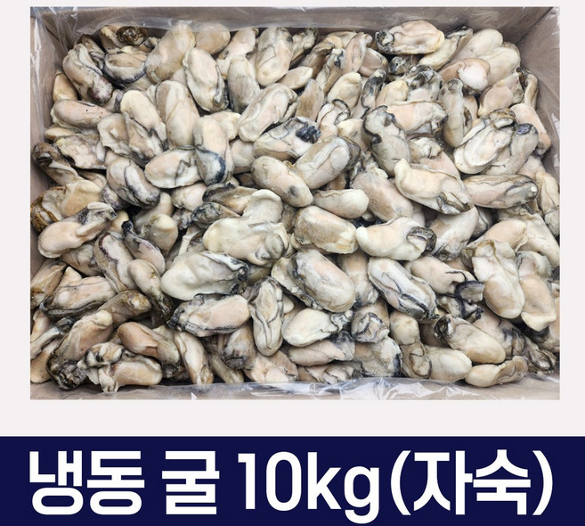 통영굴 냉동굴 10kg 벌크 국 전 튀김 요리 깐굴 급냉 도매 식당, 1개