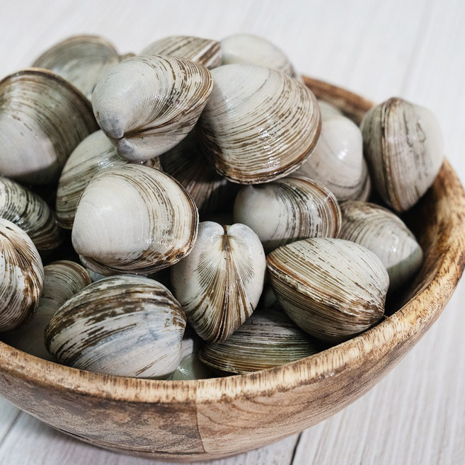 서해안 고창 동죽 해감 제철 산지직송 1kg 2kg 3kg 5kg, 1개