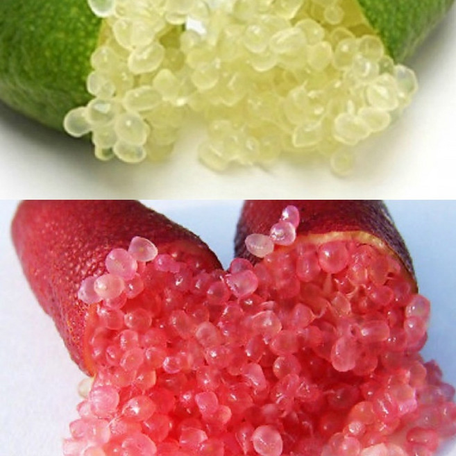 핑거라임 3년생 레드와 옐로우 2주세트 / 고급디저트 음료나 쨈 드레싱에 사용되는 호주감귤류, ., 2개