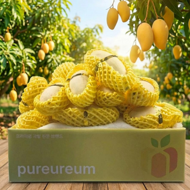 태국 골드망고 대과 달콤 고당도 항공수입 열대과일 망고, 1박스, 2.8kg