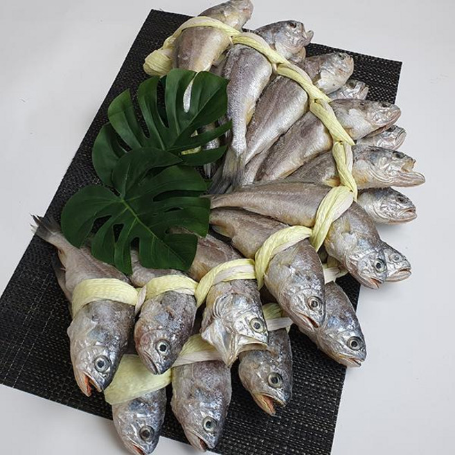 연수 영광굴비 가정용 선물세트20미(1.6kg내외), 1개, 단품