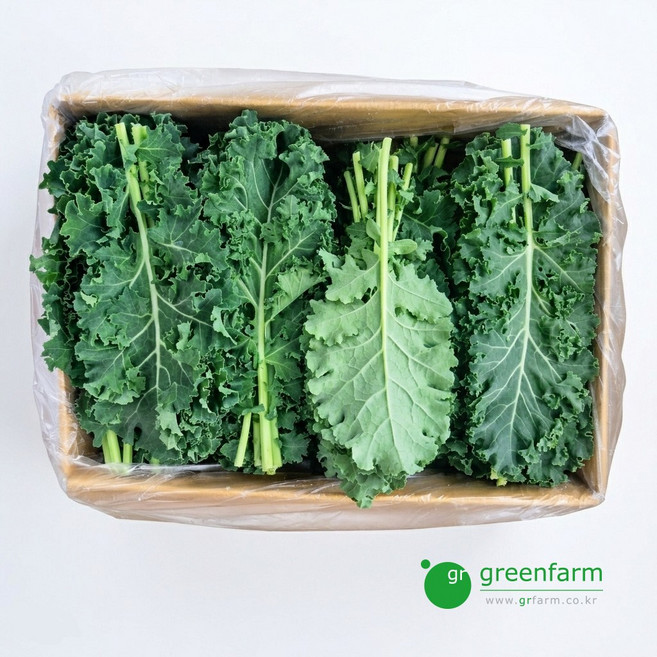 곱슬케일 1kg, 1개