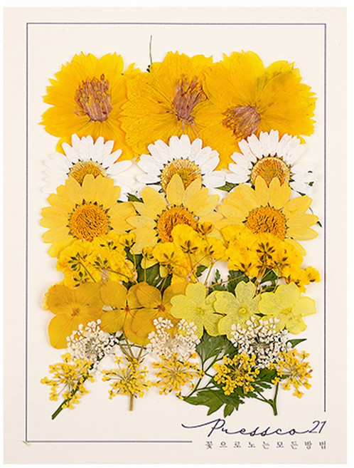 압화꽃 보존화 꽃송이 누름꽃 조화 만들기 압화재료 공예 프레스코21 종합팩 6000A, 6000G
