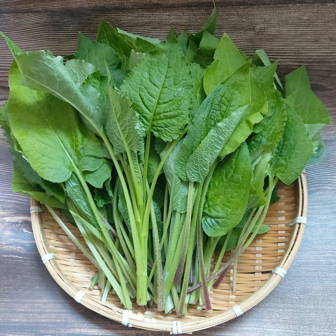 (신선집중) 강원도 정선 곤드레나물 생곤드레, 1개, 2kg