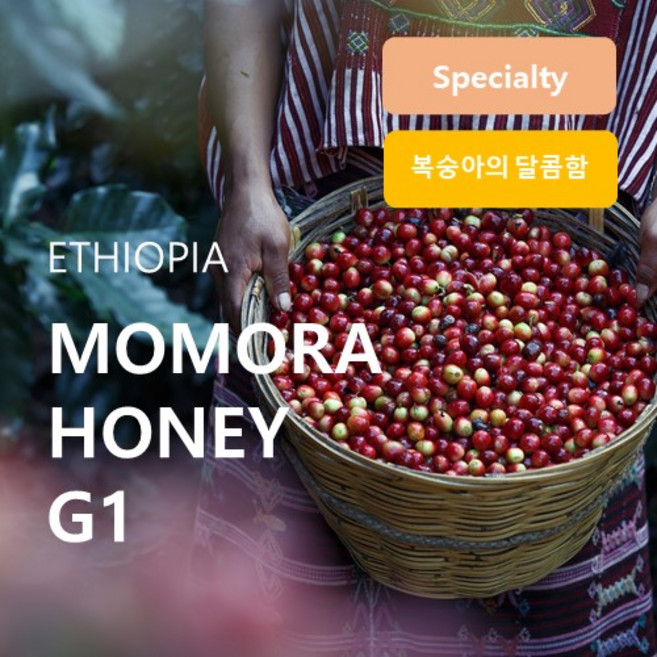 에티오피아 모모라 허니 구지 G1, 500g, 홀빈(분쇄안함), 1개