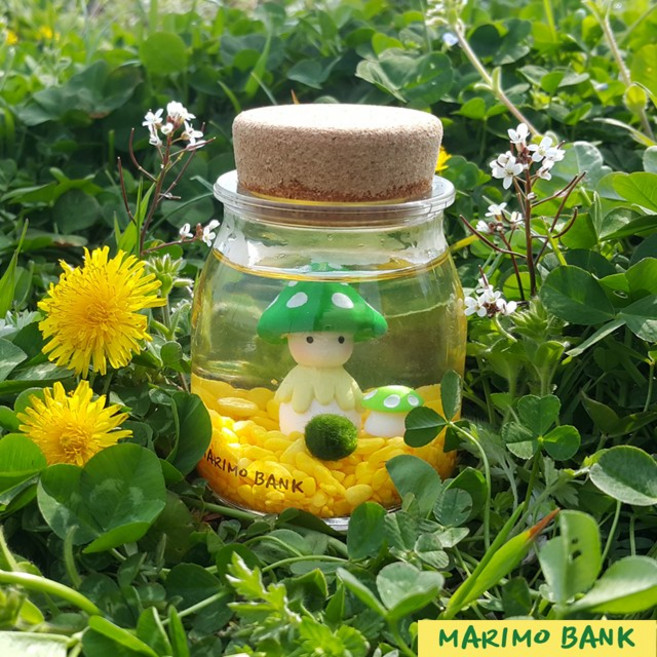 노랑 버섯돌이DIY세트-마리모중(10mm)포함, 1개