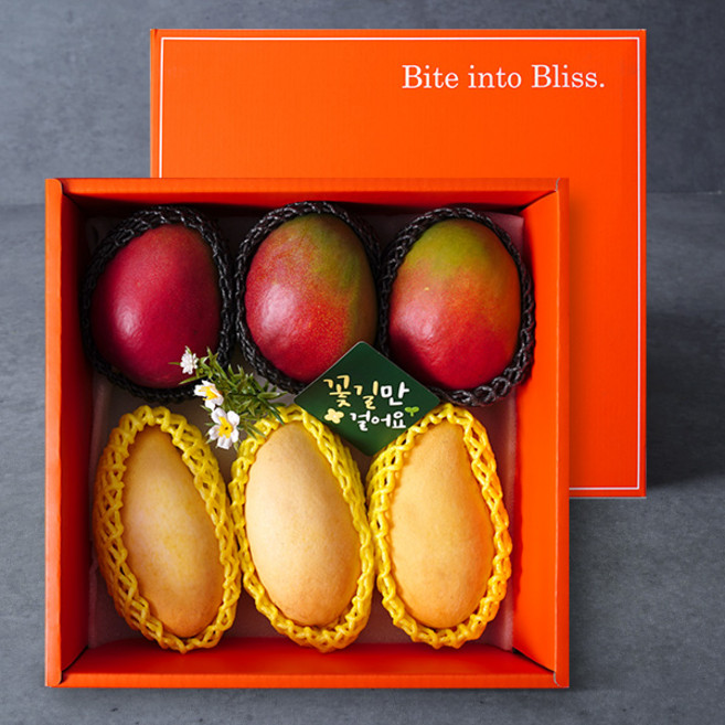 애플망고 혼합선물세트(골드망고3과+애플망고3과), 1개, 단품