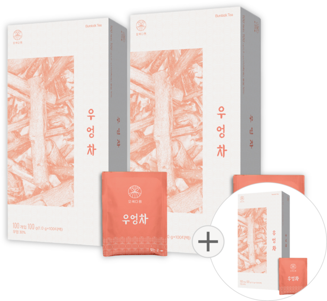 오색다원 우엉차, 2개, 100개입, 1g