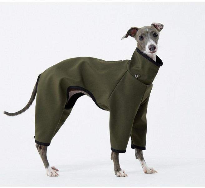 이탈리안그레이하운드 바람막이 아이쥐 레인코트 휘핏 올인원 방수 방풍, 블랙, 1개