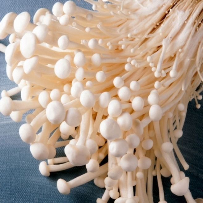 케이엠푸드 국내산 팽이버섯 벌크 4kg, 1박스