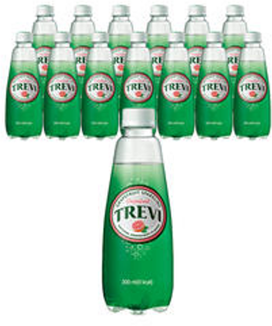 트레비 자몽 300ml 20개