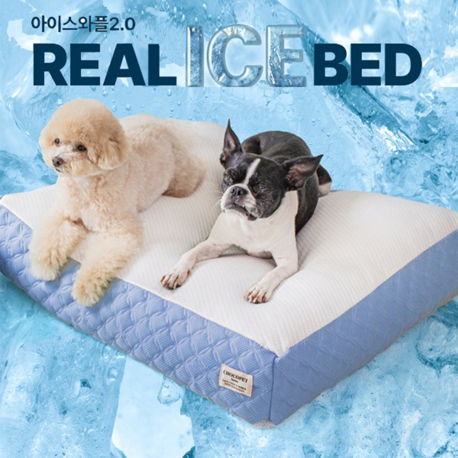 초코펫하우스 강아지 쿨방석 리얼 아이스방석 (아이스젤 2개 포함) 사이즈 1 / 여름방석 강아지 쿠션, 프리미엄형, 1개, 상세 설명 참조