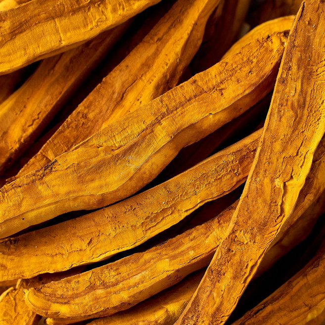 국내재배 바우미품종 장수 상황버섯 절편, 2개, 50