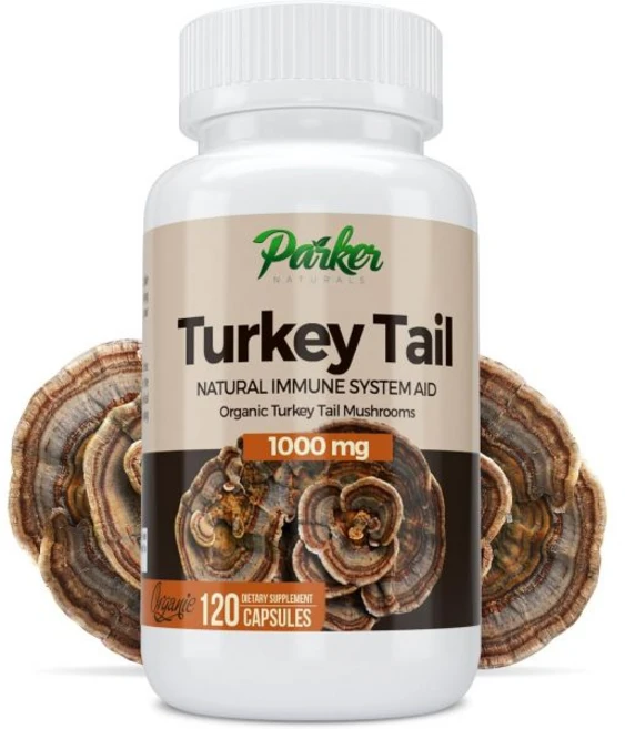 터키 테일 버섯 캡슐 - 유기농 면역 체계 건강 지원 1000mg Parker Naturals, 120개 (1팩) - 쿠팡