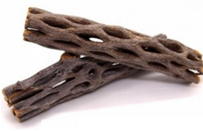 프리미엄 초야우드, 1개