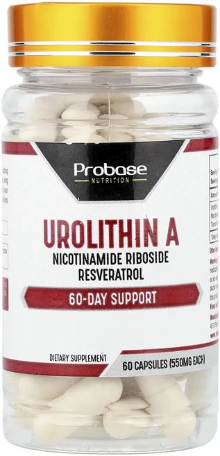 프리미엄상품 Probase Nutrition 우롤리틴 A 캡슐 60정 끝내주게잘나가는상품, ProbaseNutrition우롤리틴A캡슐60정, 1개 - 쿠팡