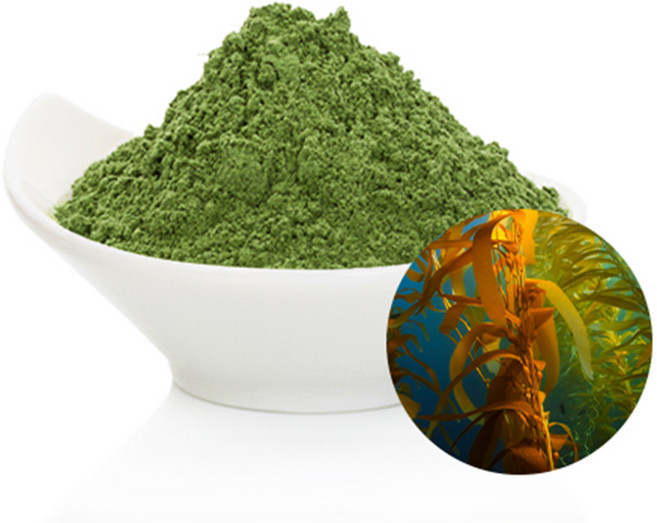 해초분말(비정제) 500g, 1개