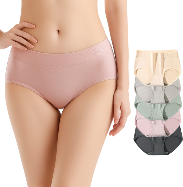 모노리엔 여성 순면 스판 고탄력 팬티 5종 세트
