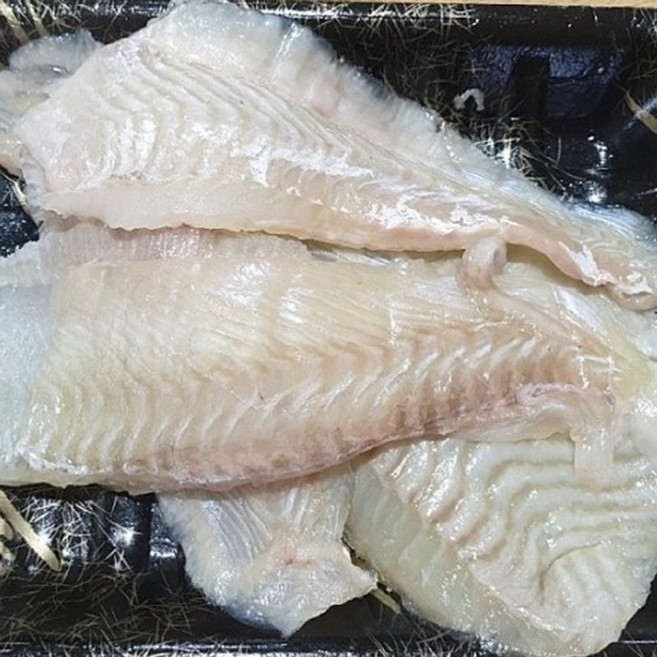 광어회 광어필렛 400g, 1개, 상세페이지 참조