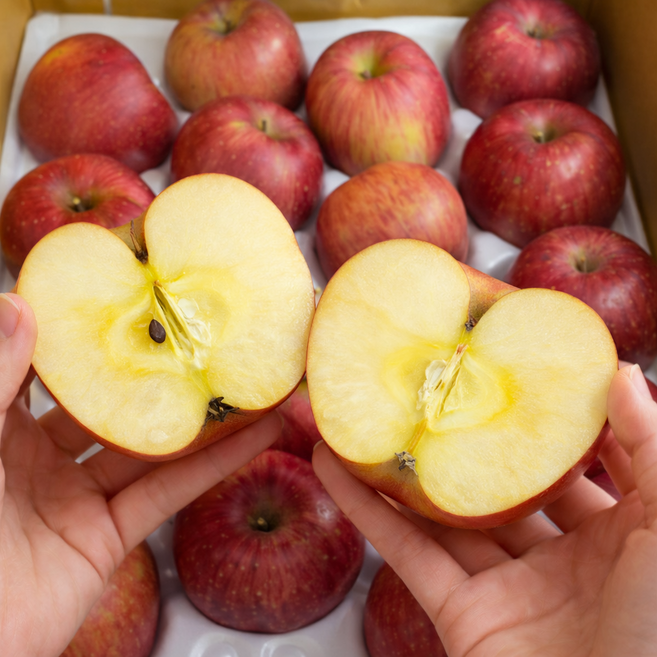 [재고정리합니다 60%초특가] 청송 아삭아삭한 벌꿀즙 햇 부사 사과 5KG 대과, 1박스