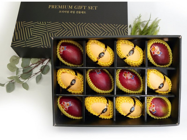 <제주빛가람> [선물세트] 고당도 애플망고&태국망고 혼합세트/고급포장/명절선물 9입/12입, 1박스, 태국망고&애플망고(12입)세트_5.4kg내외