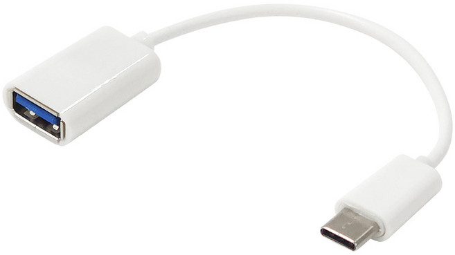 에듀플레이어 A타입-C타입 일자형 연장케이블, 1개, 158mm