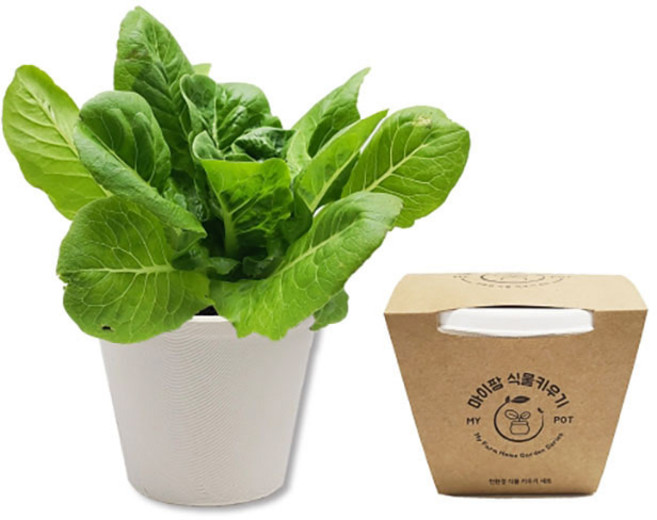 친환경 상추 키우기-SMS