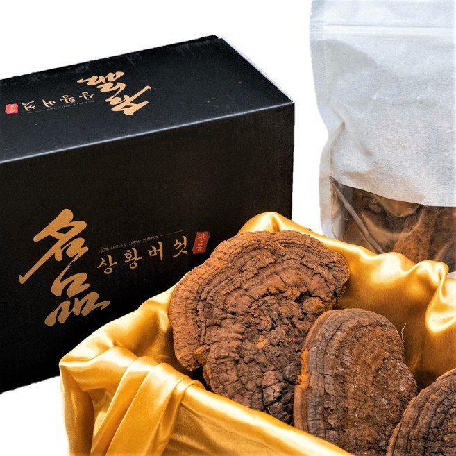 원형 - 자연산 산뽕나무 상황버섯 60년산 1kg 고급포장 효도선물, 1개