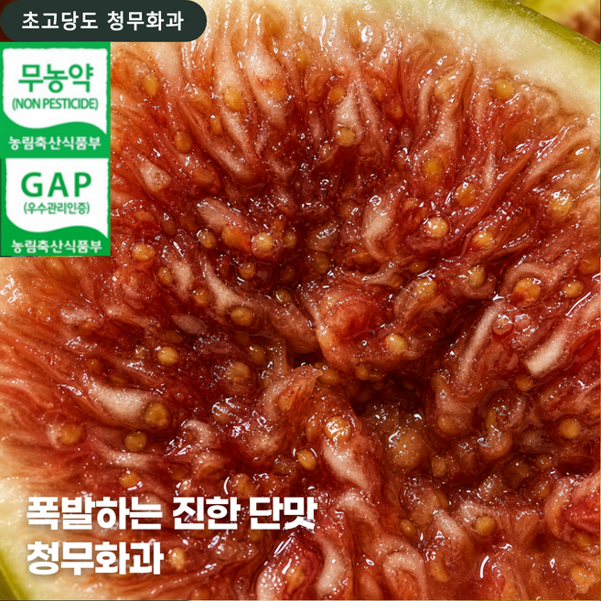 청무화과 고르는 법 — 구매 전 체크리스트 2026