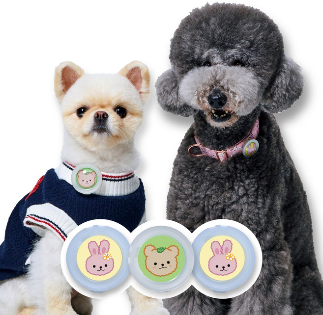 강아지 진드기 퇴치 산책 클립3종세트, 래빗+베어+래빗, 3ml, 1세트