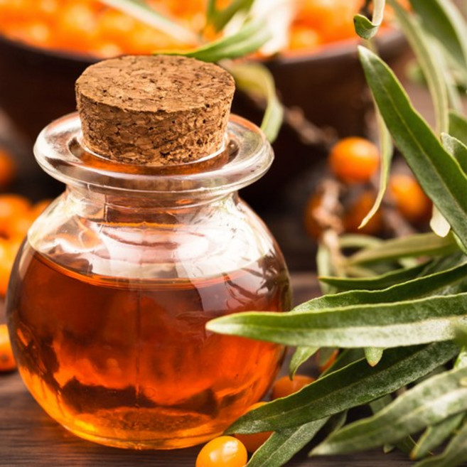 씨벅턴오일(비정제오일))씨벅톤 비타민오일(seabuckthorn oil), 100ml, 1개, 100ml