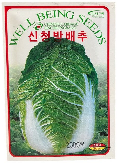 신청방배추 씨앗 2000립 [26년포장] 신청방 배추 종자