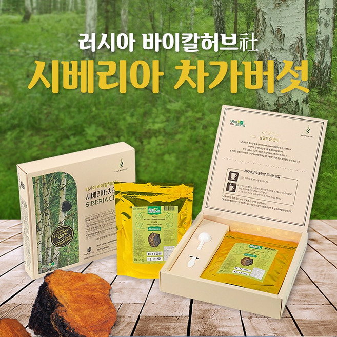 차가버섯 최고등급 고농축 추출분말100g 동결건조 바이칼허브 진품 시베리아차가버섯, 100g, 1개