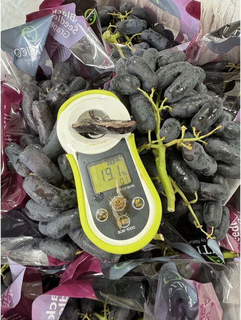 씨없는 포도 블랙사파이어 고당도 체리크러쉬 크림슨 800g, 1개, 블랙사파이어 1.8kg