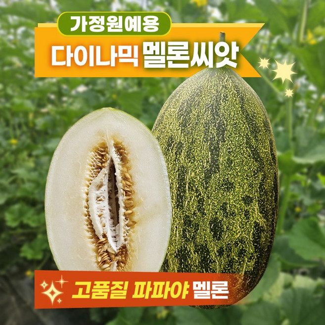 멜론씨앗 다이나믹 가정원예 텃밭용 파파야 멜론 10립, 1개