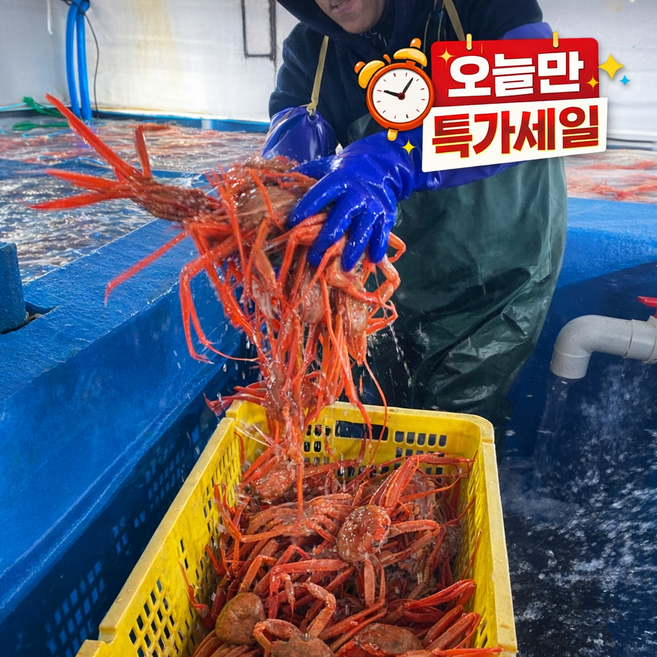 [재구매율 90%이상] 박달홍게 수율90%내외 특A급 선주직송 산지직송 프리미엄 자숙 홍게, 1개, 정품 박달홍게(자숙) 4kg 8미~10미