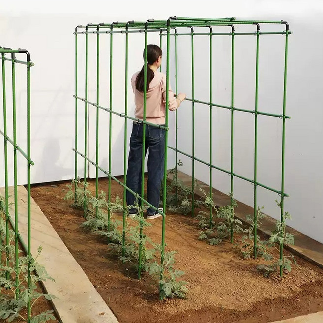넝쿨 지지대 포도나무 토마토 오이 호박 지주대 막대 기둥, 2.직경11 60x120x120 (3x3x6), 1개